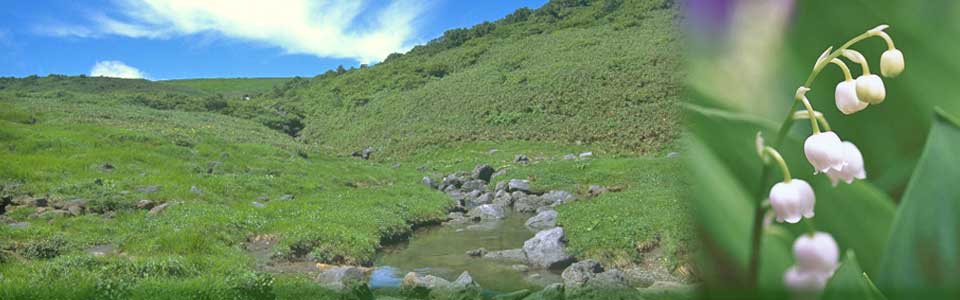 悠久の歳月を経て創造されたみかげ石 小林石材は代々受け継がれてきた石工技術と4つの安心で 地球の至宝ともいえるその御影石に職人魂を吹き込んで 皆様方にお届けして参ります